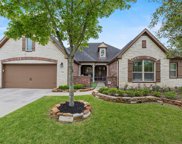13906 Twisting Ivy Lane, Cypress image