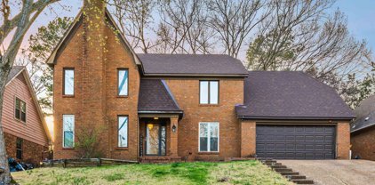 8645 Chris Suzanne Cir, Memphis