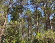 Rhinelander image