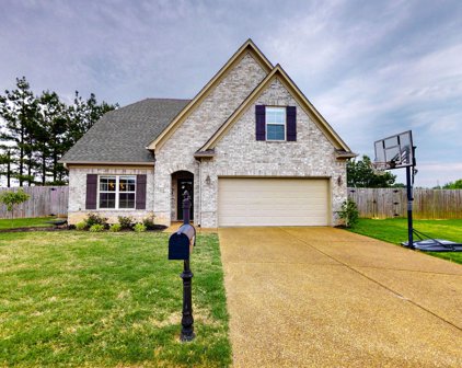 2739 Nugget Cove, Southaven