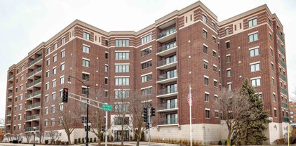 201 N Vail Avenue Unit #206, Arlington Heights
