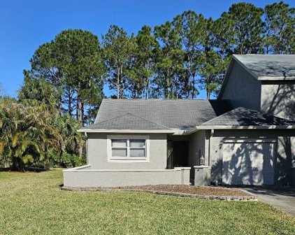 119 Hunter Court, Palm Harbor