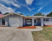 1133 Yale Drive, Holiday image