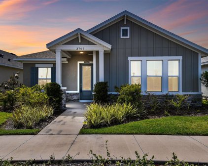 3707 Persimmon Park Drive, Wesley Chapel