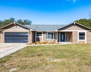 10231 Spring Hill Drive, Spring Hill image
