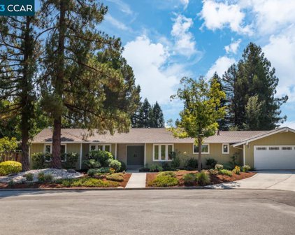 55 Bolero Ct, Danville
