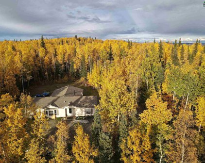 3808 Placer Lane, Delta Junction