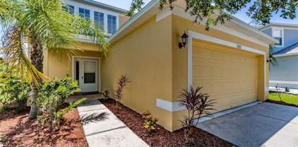 7902 Carriage Pointe Drive, Gibsonton