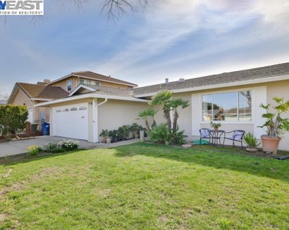 2446 Almaden Blvd, Union City