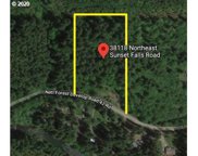 38118 NE SUNSET FALLS RD, Yacolt image