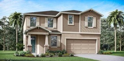 1956 Valencia Blossom Street, Clermont