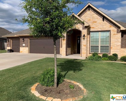 515 Salt Lick Drive, Temple