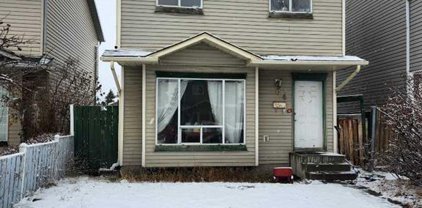 84 Martinbrook Road Northeast, Calgary