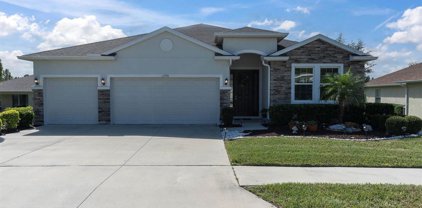 13790 Blythewood Drive, Spring Hill