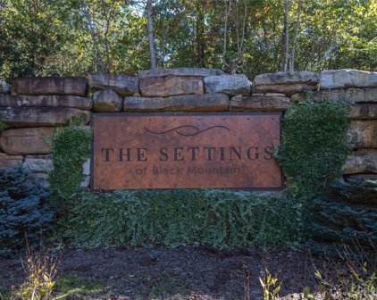 204 Settings  Boulevard Unit #247, Black Mountain