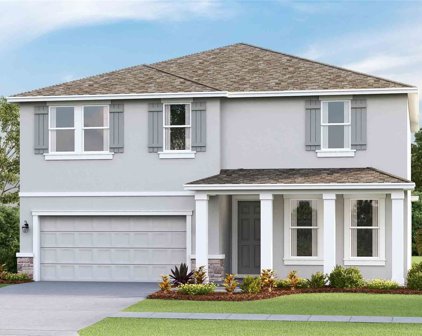 10019 Shoreline View Way, Wesley Chapel