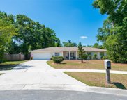 2205 Sunnybank Court, Valrico image