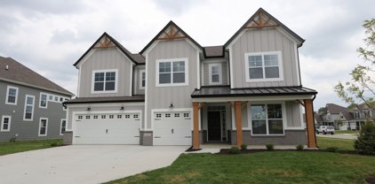 8415 Hidden Meadow Pass, Mccordsville