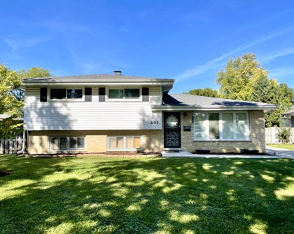 203 E Park Avenue, Bloomingdale