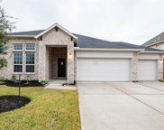 414 Riesling Drive, Alvin image