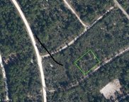 3131 Forest Avenue, Lake Placid image