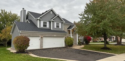 5340 Sand Lily Drive, Naperville