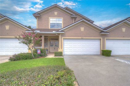 3612 Savannah Lake Place, Valrico