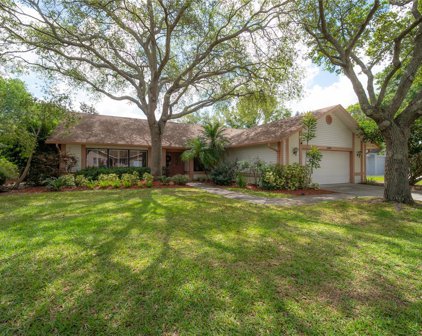2669 Frisco Drive, Clearwater