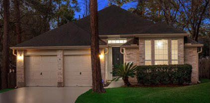 310 Leafsage Court, The Woodlands