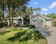 19415 Sw 100th Loop, Dunnellon image