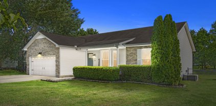 726 Tylertown Rd, Clarksville