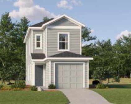 21579 Carosella Drive, New Caney