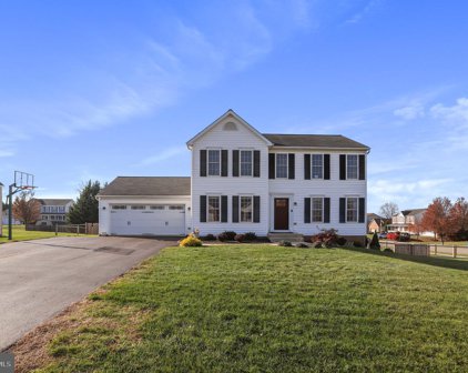 13514 Scarlet Sage Ct, Hagerstown