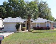 4436 E Avocet Court, Hernando image