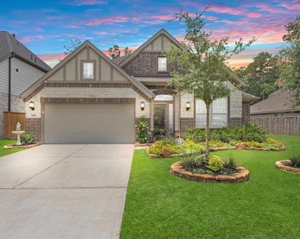 309 Sundance Peak Drive, Montgomery