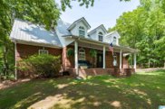 5371 Pine Mountain Road, Springville image