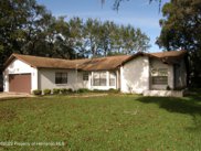 7822 Holiday Drive, Spring Hill image