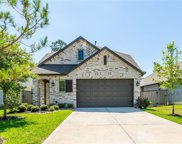 509 Timber Voyage Court, Conroe image