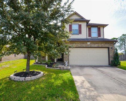 22635 Banter Point Lane, Katy