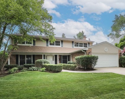 503 W Haven Drive, Arlington Heights