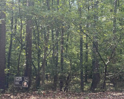 Lot 3 Orense, Hot Springs Village