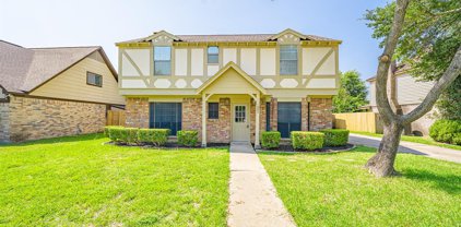 10003 Golden Sunshine Drive, Houston