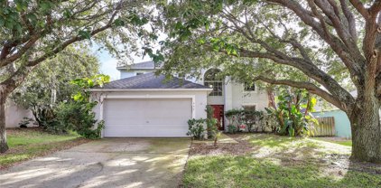 954 Welch Hill Circle, Apopka