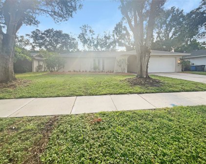 2607 Burntfork Drive, Clearwater