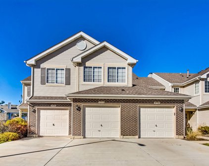 250 Camel Bend Court Unit #1, Schaumburg