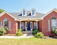130 Grapevine, Conway image