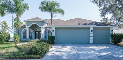 1838 Canoe Drive, Lutz