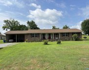 1740 Bethsaida Road, Boaz image