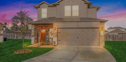 16835 Silent Pines Court, Conroe