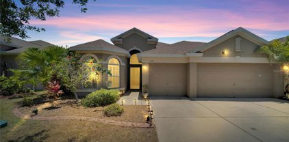 1636 Mira Lago Circle, Ruskin